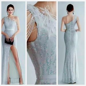 Opalescent,  Assymmetrical Neck,  Ostrich Feathers, Beaded, Geo ,Sequined Gown